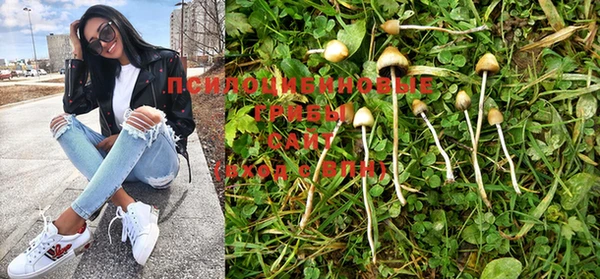 ALPHA PVP Александровское