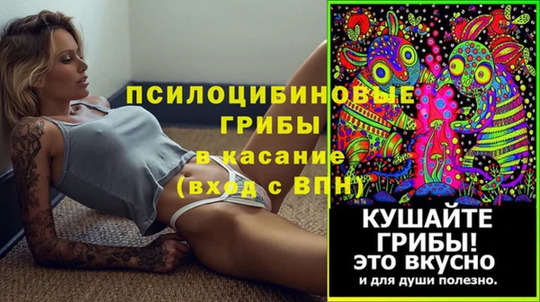 СК Инсар