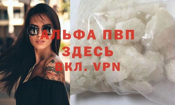 СК Инсар